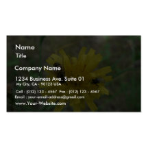 Insect Wasp Business Cards