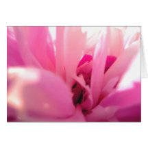 Inside a Peony Note Cards