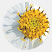 Inside a Wildflower Round Sticker