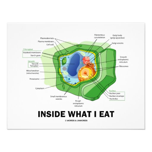 Inside What I Eat (Plant Cell Vegetarian Humour) Invite