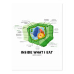 Inside What I Eat (Plant Cell Vegetarian Humour) Post Card