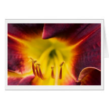 insidelily greeting card