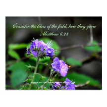 Inspiration scriptureflower postcard wilderness