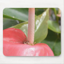 Inspirational Pink Flower Mousemat
