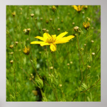Inspiring Yellow Flower Print