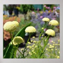 Inspiring Yellow Flowers Print
