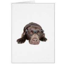 Intelligent Labrador Greeting Cards