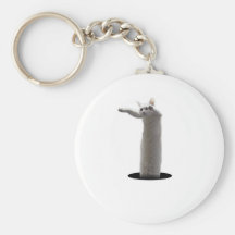 interdimensional LongCat Key Chain