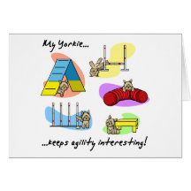 Interesting Yorkie Agility Greeting Cards
