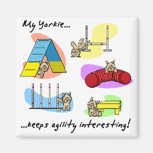 Interesting Yorkie Agility Magnet