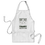 invasion apron