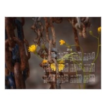 Invasive Flower; 2013 Calendar Art Photo