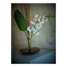 Invitation/ Card