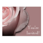 Invitation Postcard postcards
