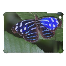 Ipad Mini QPC template iPad Mini Cove - Customised