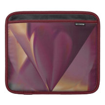 iPad Sleeve