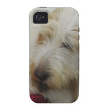Iphone 4 Vibe QPC template iPhone 4/4 - Customised iPhone 4 Cover