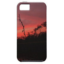iphone 5 cases