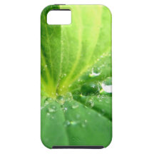 iphone 5 cases