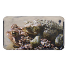 iPod Touch Case - Customised