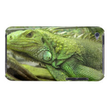 iPod Touch Case - Customised