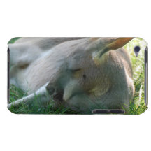 iPod Touch Case - Customised