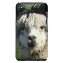 iPod Touch Case - Customised