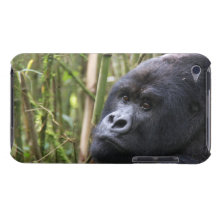 iPod Touch Case - Customised