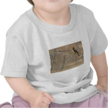 Iraqi bird tshirts