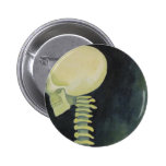 iridescent glowing skull and spinal cord
