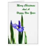 Iris (9781), Merry ChristmasAnd AHappy New Year Greeting Cards
