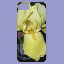 Iris at Night casemate cases