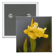 Iris Flower Button
