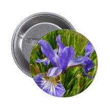 Iris Flower Buttons