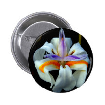 Iris Flower Pins