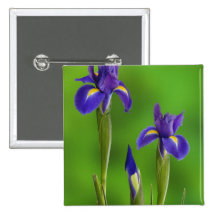 Iris Flowers Buttons