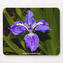Iris Mouse Pad