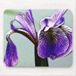 Iris Mousemats