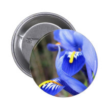 Iris Petals Pins