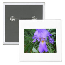 Iris Pin