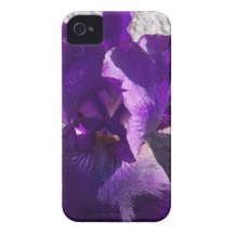 Iris Strength iPhone 4 Cover