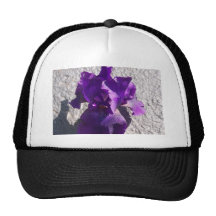 Iris Strength Mesh Hat