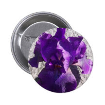 Iris Strength Pins