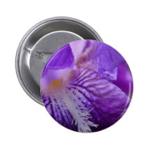 Iris Up Close Button