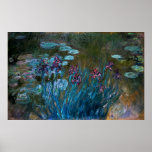 Irises and Water Lilies, Claude Monet Print