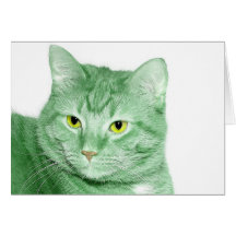 Irish cat greeting cards