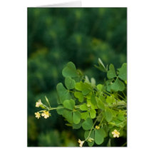 Irish Greens Greeting Cards