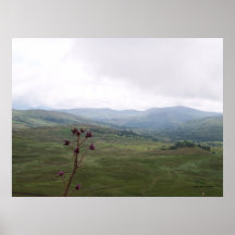 Irish landscape poster