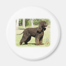 Irish Water Spaniel 9R032D-232 Fridge Magnets