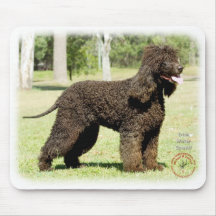 Irish Water Spaniel 9R032D-232 Mouse Mats